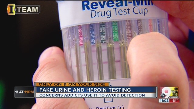 Synthetic Urine Really 
      Work Ackley Spring Hill FL